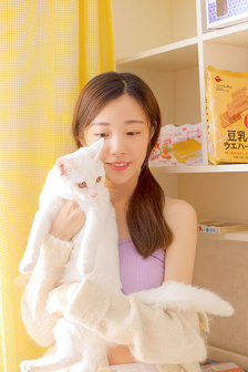 后宫上位记